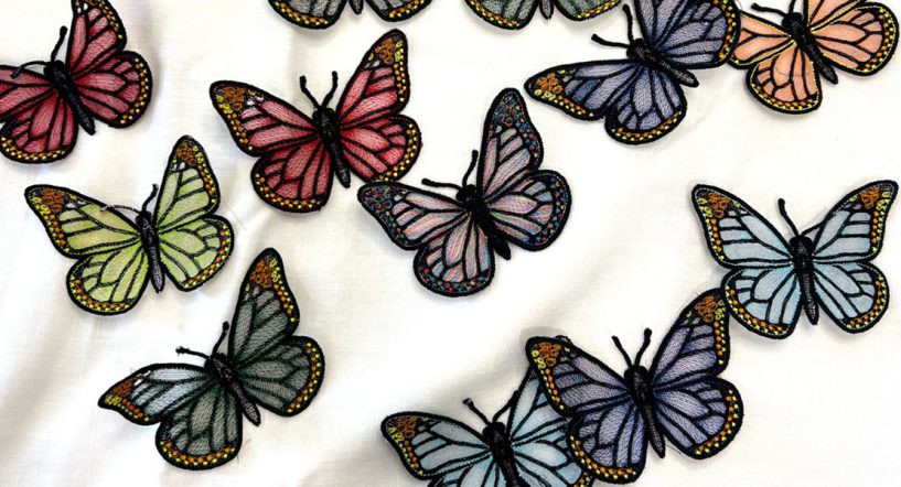 butterfly_featured.jpg